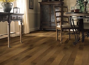us speciaes american walnut American Walnut domestic species