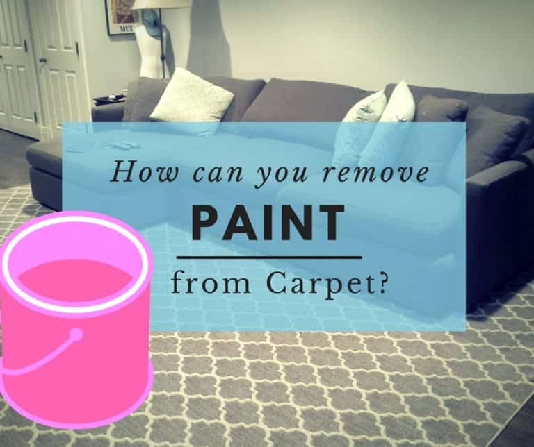 How to remove paint from carpet The Flooring Girl