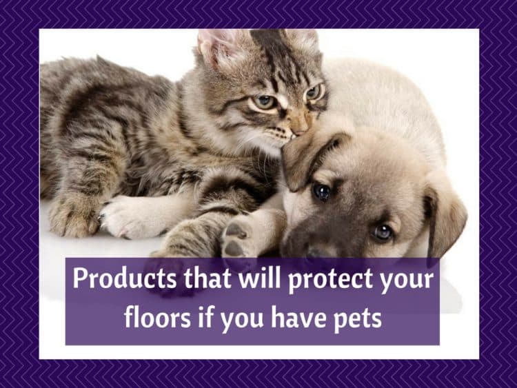 Helpful items if you have pets and want to protect your floors The Flooring Girl