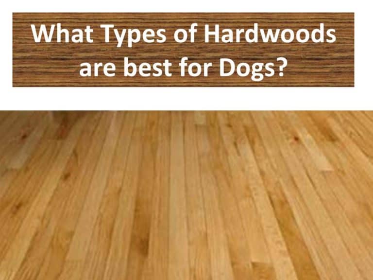 Best hardwood flooring for Dogs