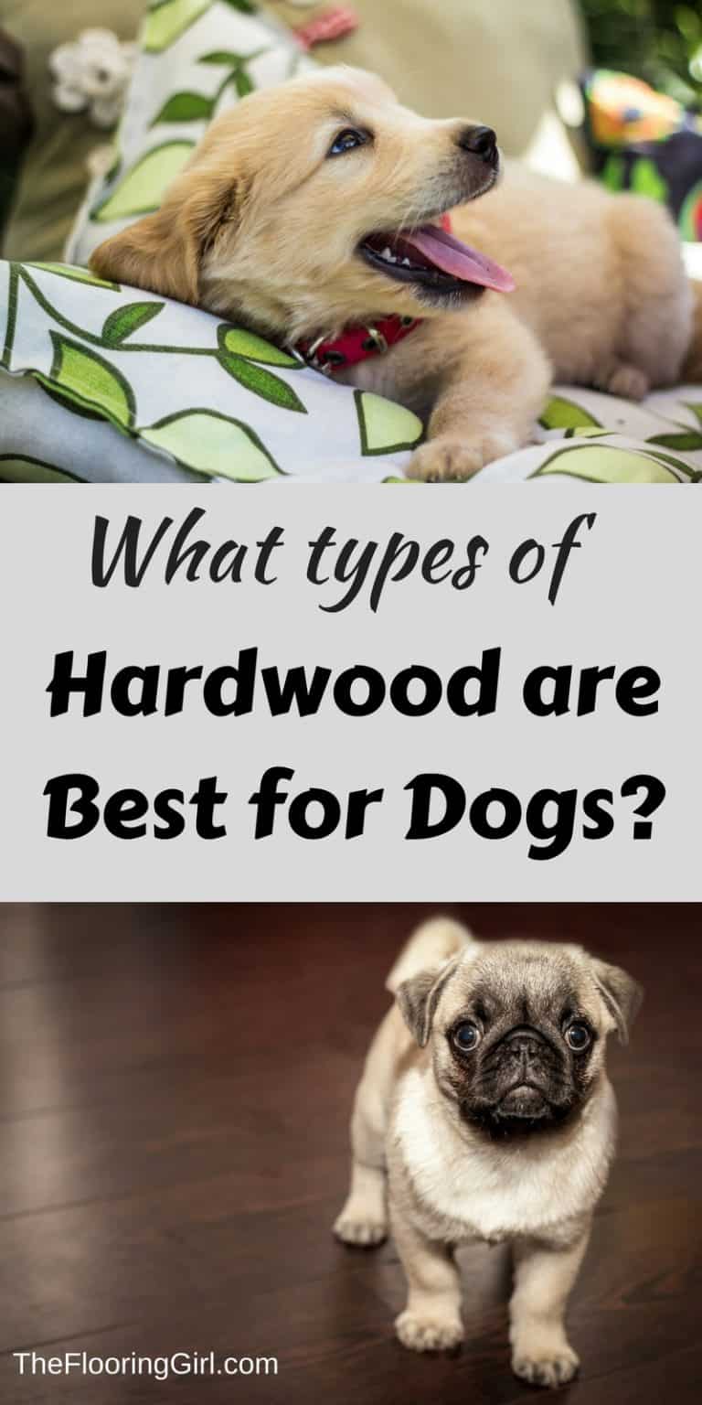 Best hardwood flooring for Dogs