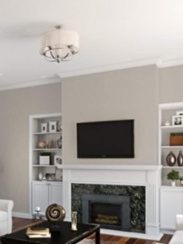 Agreeable Gray, the Ultimate Neutral Greige Paint Color Story