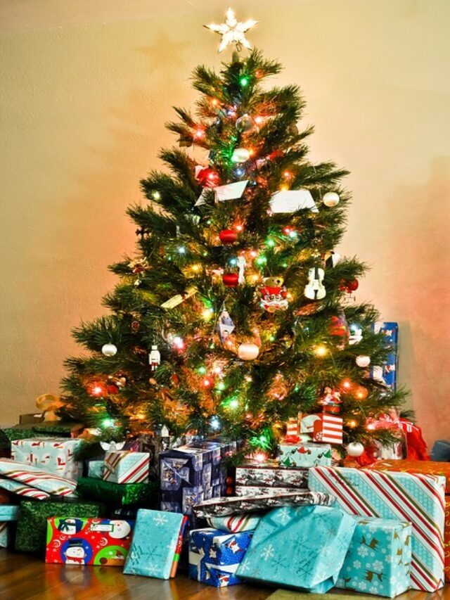 How to Protect Beautiful Hardwood Floors from a Christmas Tree Story