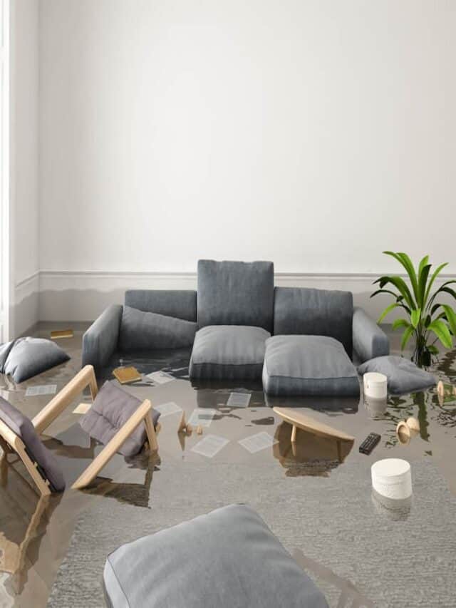 How To Save Your Hardwood Floors From Water Damage Story