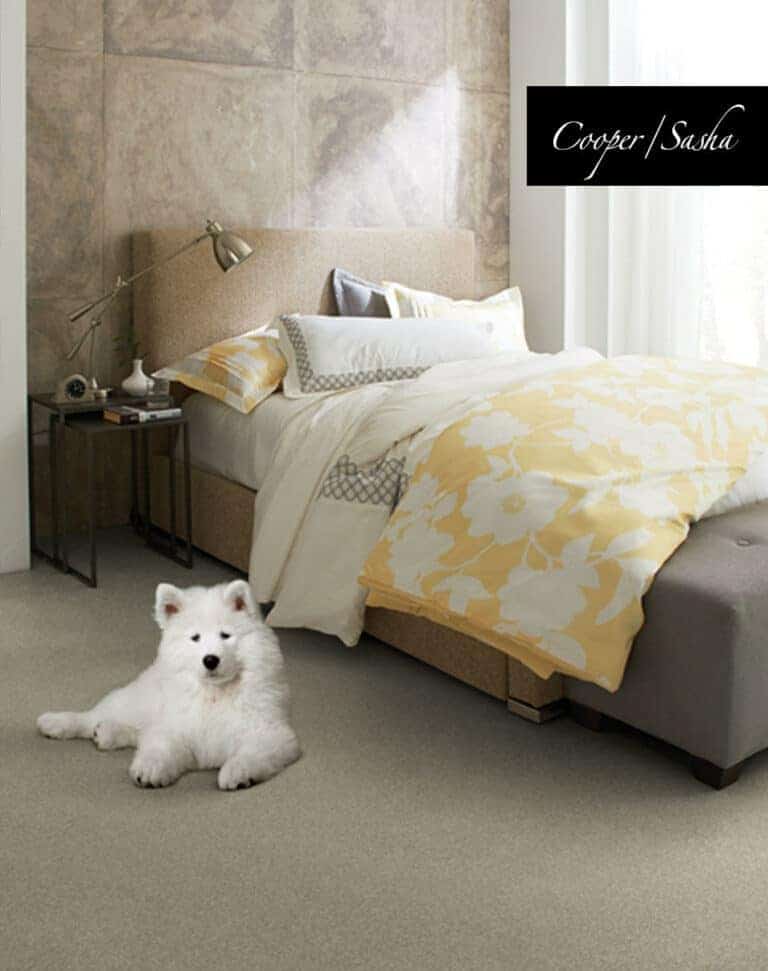 What is the best carpet for pets? Stainmaster PetProtect Great for